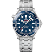 Seamaster 42 mm, steel on steel - 21030422003001