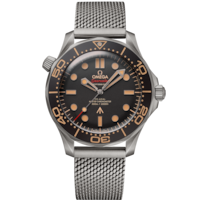 Seamaster 42 mm, titanium on titanium - 21090422001001